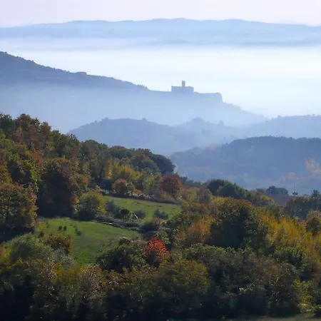 Agriturismo Alla Madonna Del Piatto