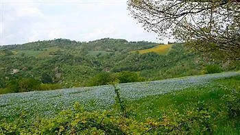 Agroturismo Agriturismo Alla Madonna Del Piatto