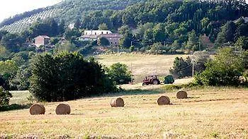 Agriturismo Alla Madonna Del Piatto *