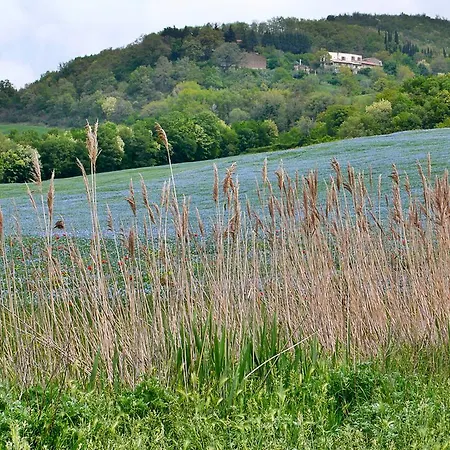 Agriturismo Alla Madonna Del Piatto